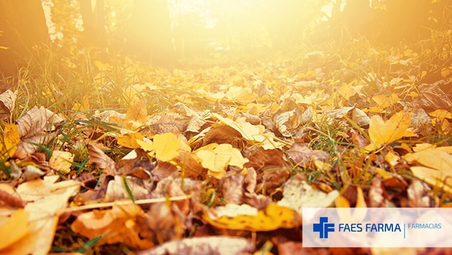 Escaparate de otoño en la farmacia: ideas y consejos de marketing para que impacte